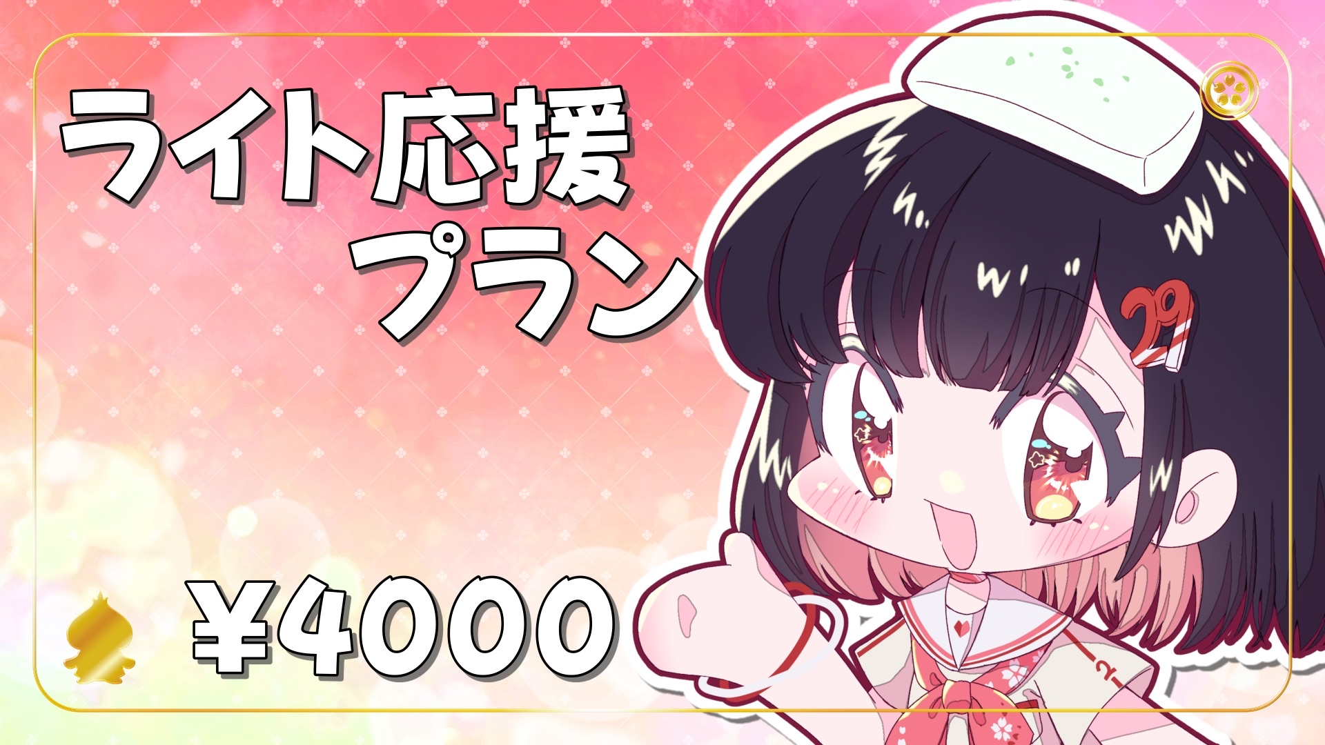 ライト応援プラン