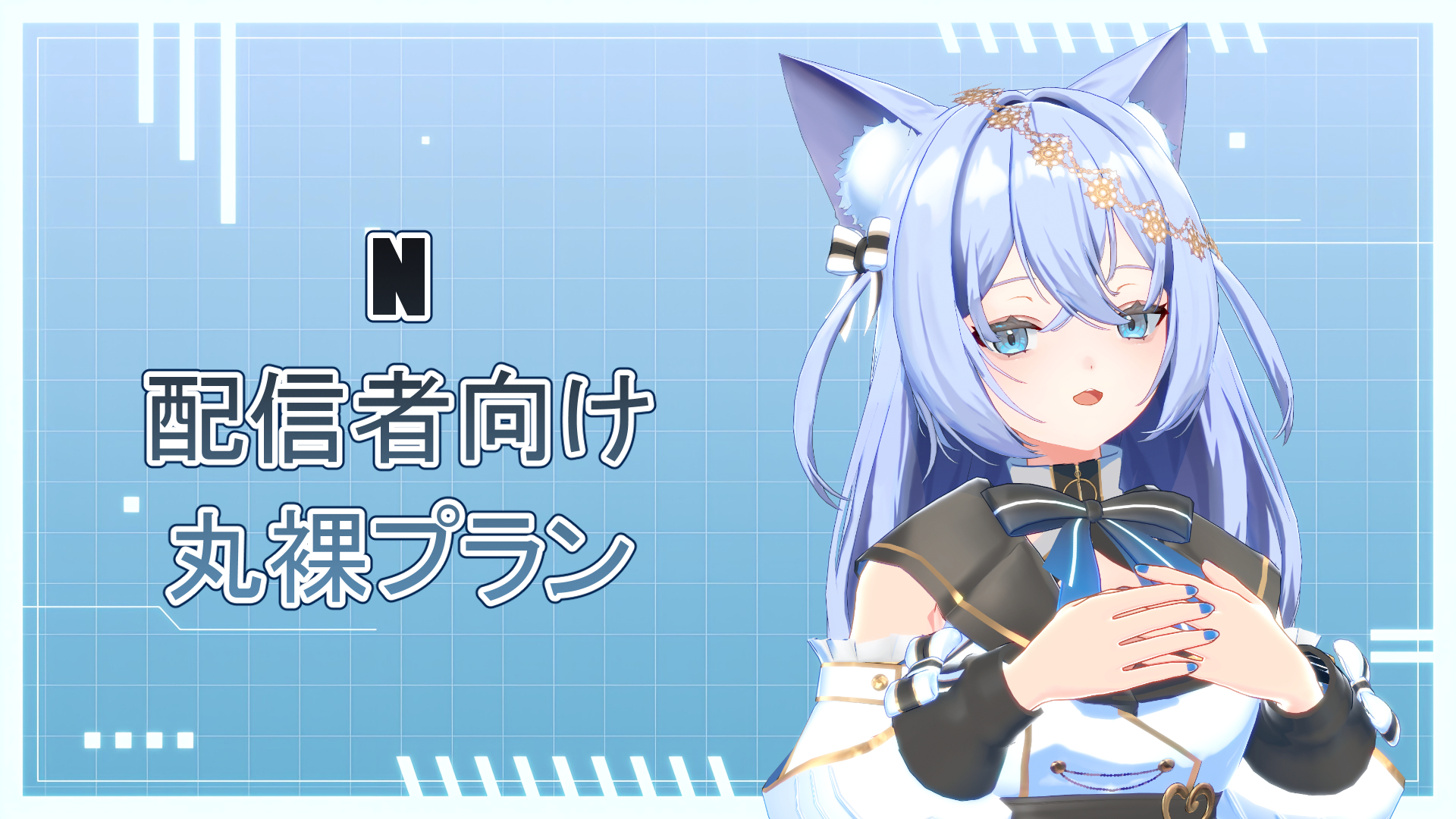 N 配信者向け丸裸プラン